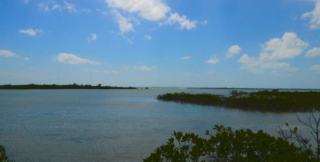 The Keys on a Weekday - michael camp