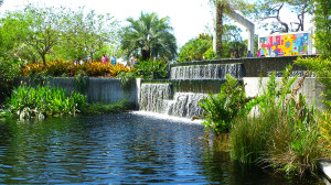 Read more about the article Naples Botanical Gardens