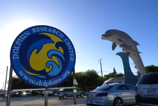 Dolphin Research Center - Marathon, FL